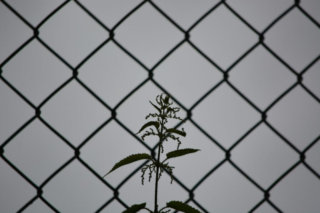 Massachusetts labor law